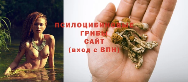 эйфоретик Алзамай