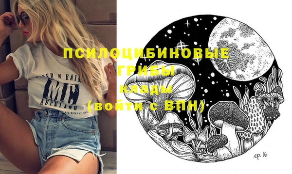 эйфоретик Алзамай