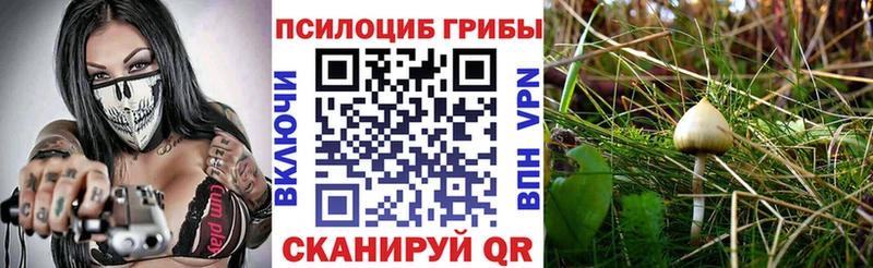 купить  сайты  OMG зеркало  Галлюциногенные грибы Magic Shrooms  Лысьва 