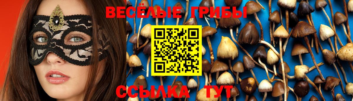 Лысьва  Галлюциногенные грибы Cubensis  Вход с VPN 